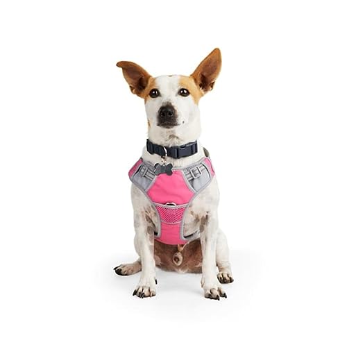 EveryYay Embrace The Pace Pink Reflective Dog Harness, Medium