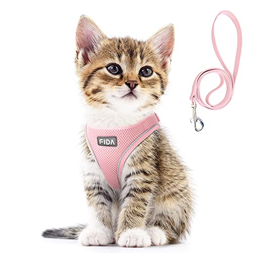 Fida Comfy Dog Harness with Leash, Cat Vest Harness Escape Proof, Breathable Lightweight Soft Mesh, Adjustable Reflective Step-in Harness for Puppy Toy Breeds & Extra-Small Pet (XXS, Pink)