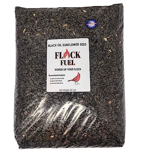 Flock Fuel Black Oil Sunflower Seeds for Birds 10 Pounds Outside Wild Bird Seed