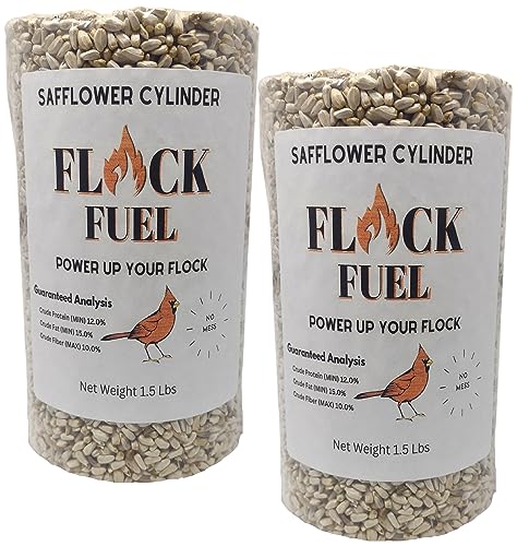 Flock Fuel Safflower Wild Bird Seed Cylinder 2 Pack Bird Seed for Outside Birds