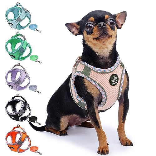 Frienperro Breathable Dog Harness with Leash Set for Small Dog, Dog Harness for Medium Dogs No Pull, Adjustable Reflective Dog Harness, Summer Dog Harnesses for Puppy Small Dogs, Cat Harness Set