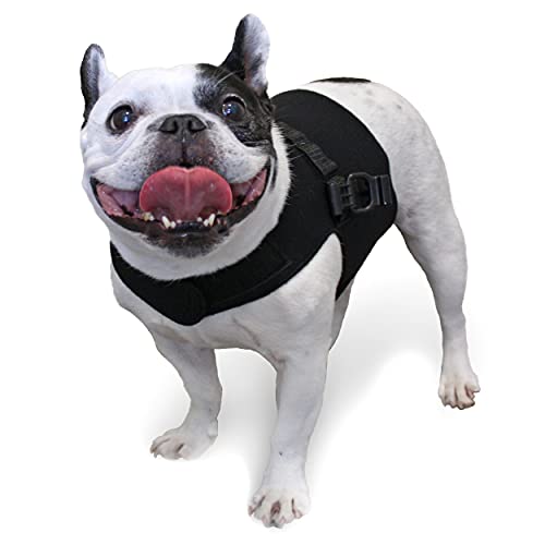 Front Dog Vest Harness | No Pull Harness | Designed for Small Dogs with Broad Chests | Compatible with Dog Wheelchair