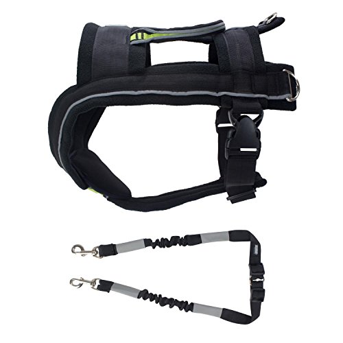 Best Dog Bike Harness 2024 - Vet Ranch - We Love Pets