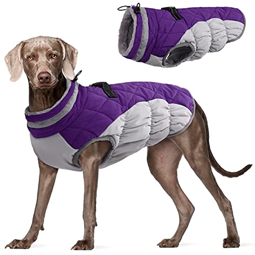 FUAMEY Dog Coat,Warm Dog Jacket Winter Coat Paded Dog Fleece Vest Reflective Dog Cold Weather Coats with Built in Harness Waterproof Windproof Dog Snow Jacket Clothes with Zipper Purple Large