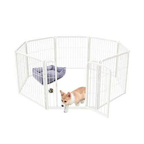 Putting Puppy In Playpen 2024 Vet Ranch We Love Pets