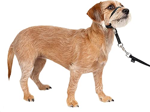 Gentle Leader Headcollar, No-Pull Dog Collar – Perfect for Leash & Harness Training