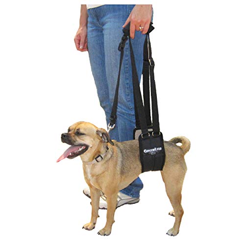 GINGERLEAD Dog Sling Support Harness, SM Female fits Small to Medium Size Pets 20-50 lbs. or Larger Barrel Chested Dogs Like Boxers or Bullies. Padded Rear Lifting Aid with Leash. Made in U.S.A.