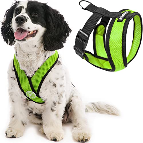 Gooby Comfort X Head In Harness - Green, Large - No Pull Small Dog Harness, Patented Choke-Free X Frame - Perfect on the Go Dog Harness for Medium Dogs No Pull or Small Dogs for Indoor and Outdoor Use