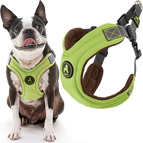 Gooby Escape Free Memory Foam Harness - Green, Small - No Pull Step-in Small Dog Harness with Four Point Adjustment - Perfect on The Go Dog Harness for Medium Dogs No Pull and Small Dogs