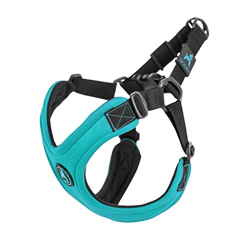 Gooby Escape Free Sport Harness - Turquoise, Small - No Choke Step-in Patented Neoprene Small Dog Harness, Four-Point Adjustment - Perfect on The Go Dog Harness for Medium Dogs No Pull and Small Dogs