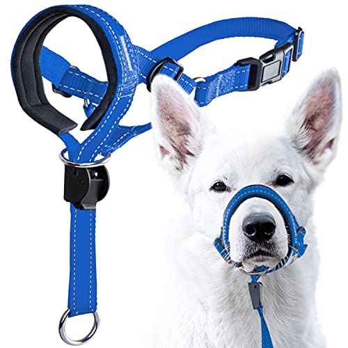 GoodBoy Dog Head Halter with Safety Strap - Stops Heavy Pulling On The Leash - Padded Headcollar for Small Medium and Large Dog Sizes - Head Collar Training Guide Included (Size 3, Blue Nylon)