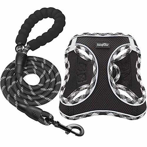 haapaw Dog Harness with Leash Set, No Pull Adjustable Reflective Step-in Puppy Harness with Thickened Padded Vest for Extra-Small/Small Medium Dogs