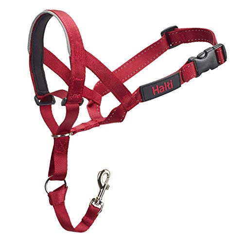 Halti Head Collar, Head Halter Collar for Dogs, Head Collar to Stop Pulling for Medium Dogs