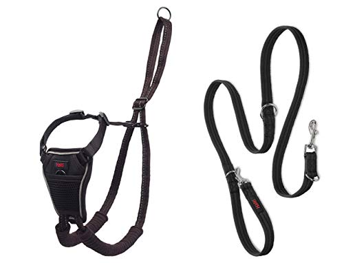 Halti No Pull Harness and Training Lead Combination Pack, Stop Dog Pulling on Walks with Halti, Includes Large Halti No Pull Harness and Double Ended Lead, Black (14329W)