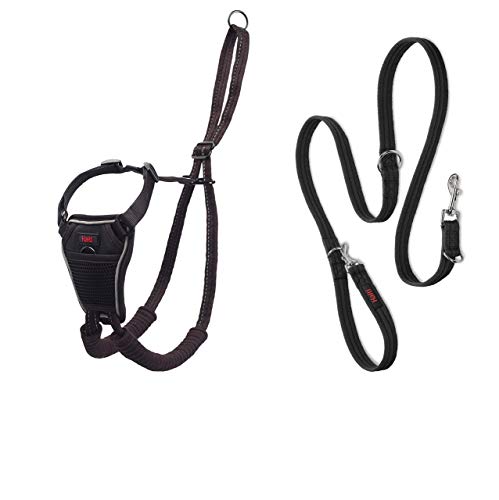 Halti No Pull Harness and Training Lead Combination Pack, Stop Dog Pulling on Walks with Halti, Includes Medium Halti No Pull Harness and Double Ended Lead