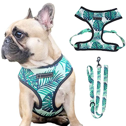 HDKUW Dog Harness and Leash Set, Adjustable Dog Vest Harness Set, Outdoor Walking Vest Harness for French Bulldog and Puppy Small Medium Large Dog M