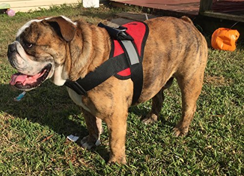 HDP Big Dog Soft No Pull Harness Size:XXLarge Color:Black