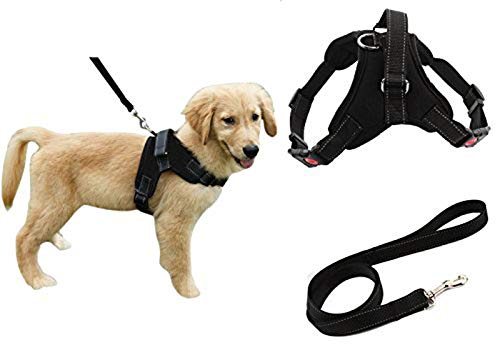 Heavy Duty Adjustable Pet Puppy Dog Safety Harness with Leash Lead Set Reflective No-Pull Breathable Padded Dog Leash Collar Chest Harness Vest with Handle for Small Medium Large Dogs Training Walking