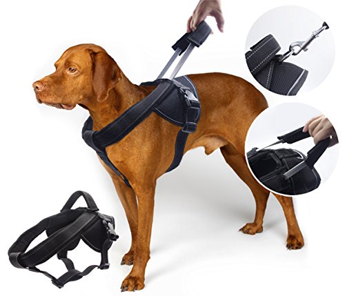 Heavy Duty Dog Harness for Medium and Large Dogs, No Pull Dog Vest Harness with Handle Extensible, Reflective Stitching (L)