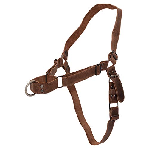 Hide & Drink, Leather No Pull Walking Dog Harness, Adjustable Straps, Pet Training Supplies, Accessories, Handmade Includes 101 Year Warranty :: Bourbon Brown Medium