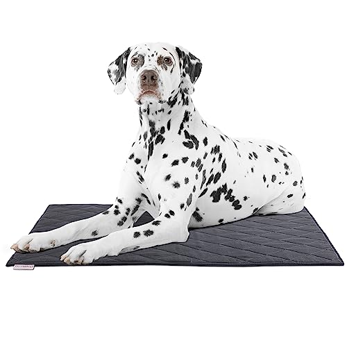 HOMBYS Chew Proof Tough Dog Crate Pad Mat 17"x23", Durable Pet Bed Mat for Teething Puppy Who Chew Their Beds, Upgraded Indestructible Training Fabric Kennel Pad for Dogs Crate Cages