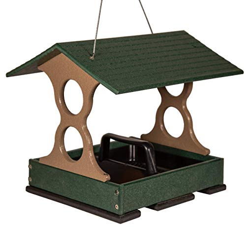 JCs Wildlife Medium Poly Fly-Thru Bird Feeder w/Removable Seed Tray - Holds 4 Cups of Bird Seed to Attract Cardinals, Chickadees, and More Backyard Birds (Green)