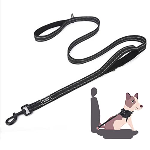 Joyride Harness 2-in-1 Leash with Seat Belt Combo, 43” Dual Use Pet Safety Seatbelt, Dual Handle and Car Safety Buckle, Thick Heavy Duty Nylon & Retractable Harness Clasp - Reflective Safety Stitching