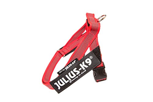 Julius-K9, 16IDC-M-R-2015, IDC Color & Gray Belt Harness for Dogs, Size: Mini, Red-Gray