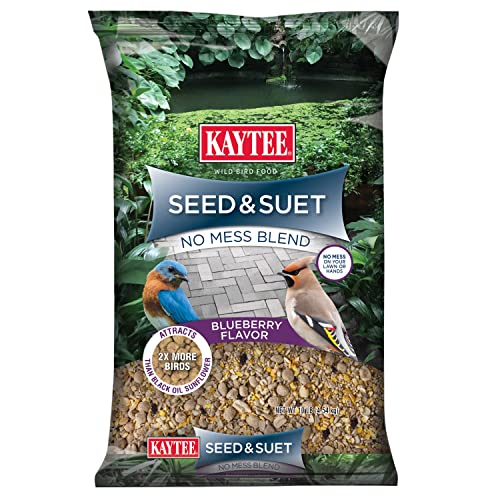 Kaytee Seed & Suet No Mess Blend Blueberry Flavor 10 Pounds