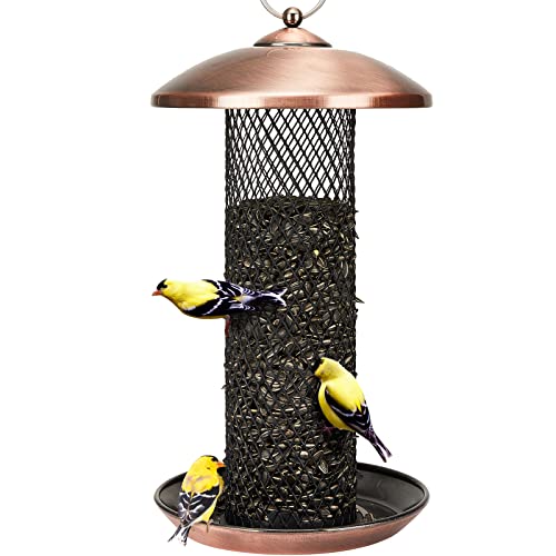 Sunflower Bird Feeder 2024 - Vet Ranch - We Love Pets