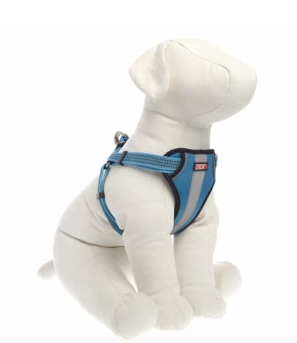 Kong Reflective Padded Chest Plate Dog Harness Blue XL