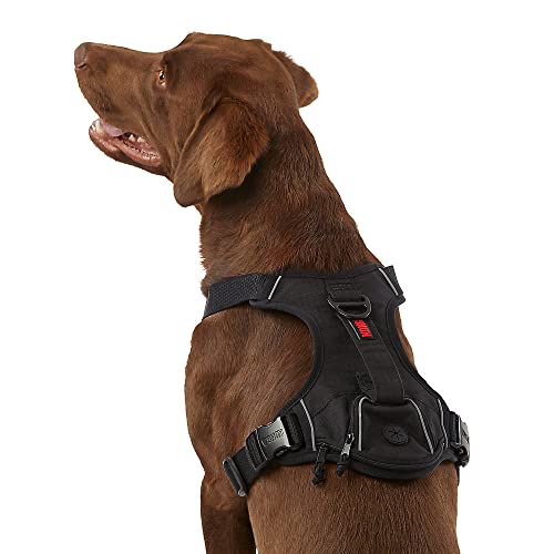 KONG Ultra Durable Waste Bag Harness (Medium, Black)