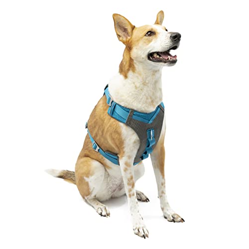 Kurgo Dog Harness for Medium, & Small Active Dogs, Pet Hiking Harness for Running & Walking, Everyday Harnesses for Pets, Reflective, Journey Air, Blue/Grey 2018, Large