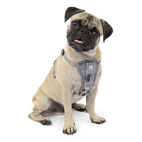 Kurgo Dog Harness | Pet Walking Harness | No Pull Harness Front Clip Feature for Training Included | Car Seat Belt | Tru-Fit Quick Release Style | Small | Grey