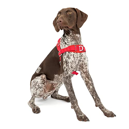 Kurgo Walk About Dog Harness, No Pull Training Harness for Dogs, Discourages Pulling, Front D-Ring, Includes Control Handle, Chili Red (Medium)