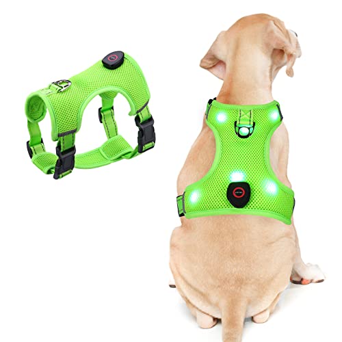 LED Dog Harness AMIR Medium No Pull No Choke Pet Harness USB Rechargeable 3 Lighting Modes Adjustable Breathable Soft Mesh Lighted Dog Vest Harness for Safety at Night Out, Neck: 15.7-21.6", M Size