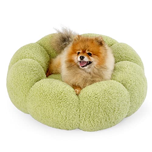 Lesure Calming Small Dog Bed - Donut Round Fluffy Puppy Bed in Teddy Sherpa Plush, Anti-Slip Cute Flower Cat Beds for Indoor Cats, Anti-Anxiety Pet Bed Fits up to 25 lbs, Machine Washable, Green 23"