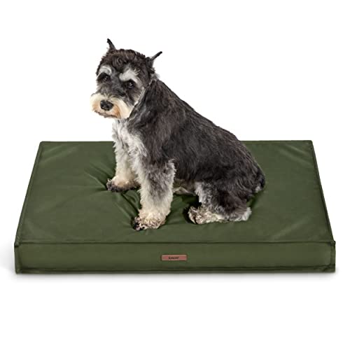 Lesure Waterproof Dog Bed for Medium Dogs - Outdoor Dog Bed with Oxford Fabric Surface, Medium Egg Orthopedic Foam Pet Bed with Removable and Durable Cover, Machine Washable