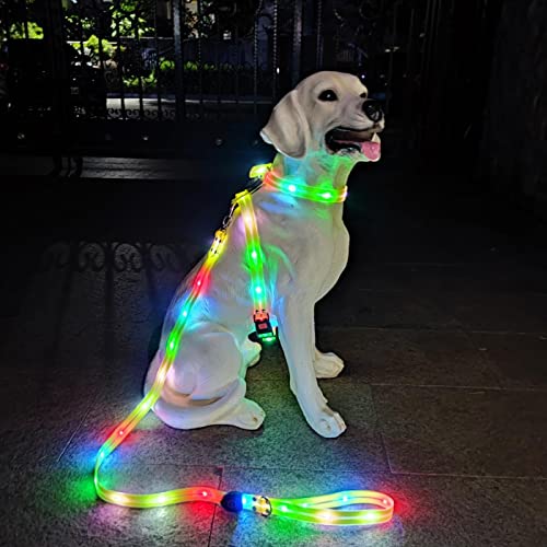 Light Up Dog Leash and LED Dog Harness Set,Waterproof Rechargeable Dog Safety Light for Night Walking
