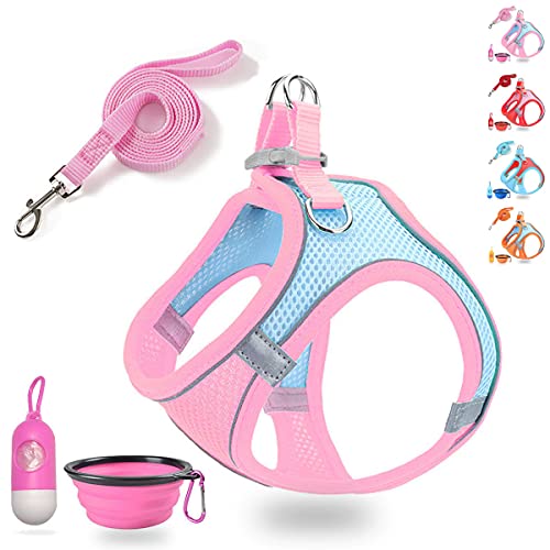 Best Harness For Maltese Dog 2024 Vet Ranch We Love Pets