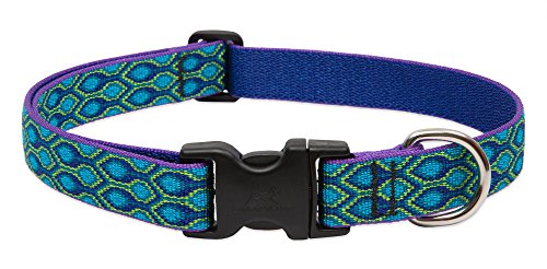 LupinePet Originals 1" Rain Song 12-20" Adjustable Collar for Medium and Larger Dogs