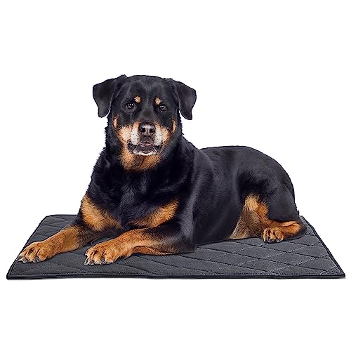 MABOZOO Durable Chew Proof Dog Bed, Tough Indestructible Dog Crate Mat for Aggressive Chewers, Washable Pet Bed for Medium Dog,Waterproof Dog Bed for Kennel,Black 22x35 in