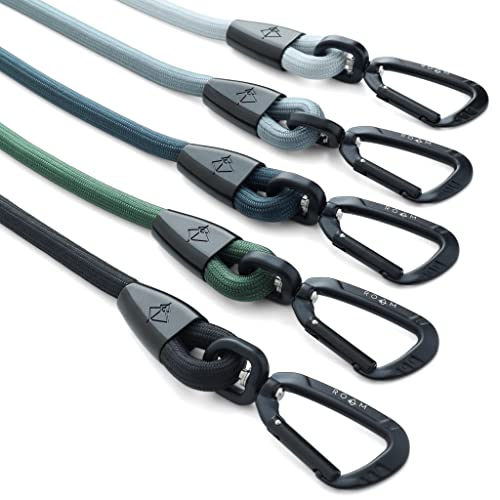 MADE TO ROAM Premium Everyday Leash - Ultra Soft Dog Leash with Aviation Aluminum Carabiner for Small, Medium, Large Dogs - California Horizon, 4ft (Rubber Coated Metal Clamps)