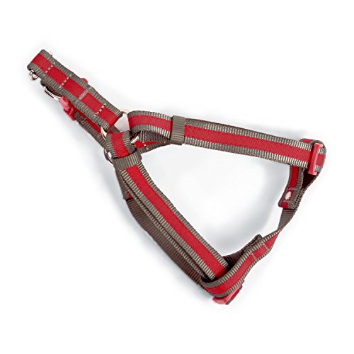 Martha Stewart Classic Webbing with Overlay Step-in Harness for Dogs, Red, Size 18 (MSR00021H18)