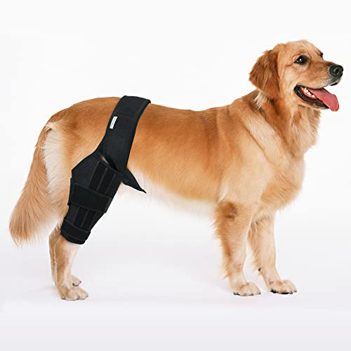 MerryMilo Dog Knee Brace for Dog ACL Brace Hind Leg or Rear Leg, CCL Brace Hind Leg (Size: Large)