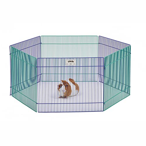 MidWest Homes for Pets Small Animal Pet Playpen /Exercise Pen, Blue and Green,1 Count (Pack of 1), Small Animal Playpen.