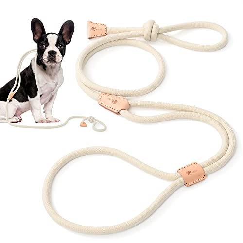 Mile High Life | All in one Dog Lead | Rope Leash and Harness Two in One | 4 Feet Slip Dog Lead Leash for Training | Dog Leash for Small Dog Puppy (White)