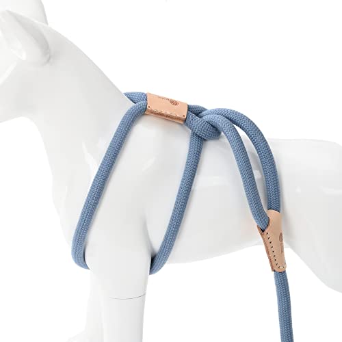 Mile High Life | All in one Dog Lead | Rope Leash and Harness Two in One | 4 Feet Slip Dog Lead Leash for Training | Dog Leash for Small Dog Puppy (Blue)