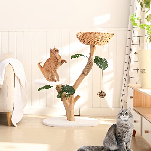 Modern Cat Tree for Indoor Cats — Wood Cat Tree with Leaves Stable Cat Tower for Large Cats Aesthetic Cat Tree with Sturdier Basket Leisure Modern Cat Tree Easy to Assemble and Clean