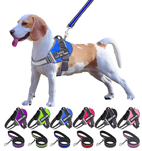 Moonpet Personalized No Pull Dog Harness Leash Set with Custom Name and Phone Number, Heavy Duty Pet Vest to Prevent Tugging, Pulling, or Choking, Training and Walking (XS-XXL, 9 Colorful)